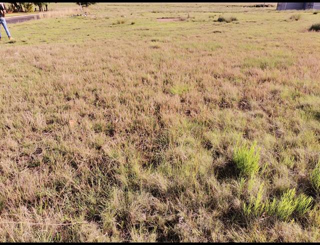 1,000M² VACANT LAND FOR SALE IN STRUISBULT
